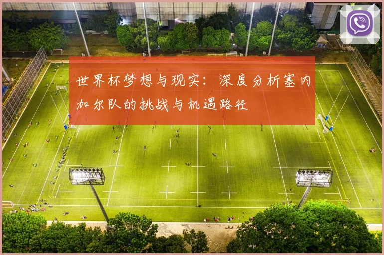世界杯梦想与现实：深度分析塞内加尔队的挑战与机遇路径