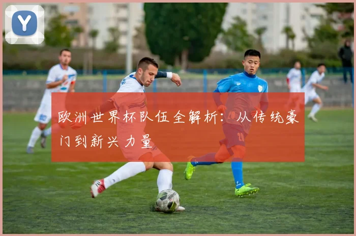 欧洲世界杯队伍全解析：从传统豪门到新兴力量