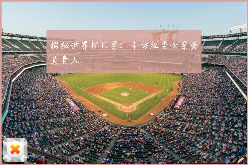 揭秘世界杯门票：专访组委会票务负责人