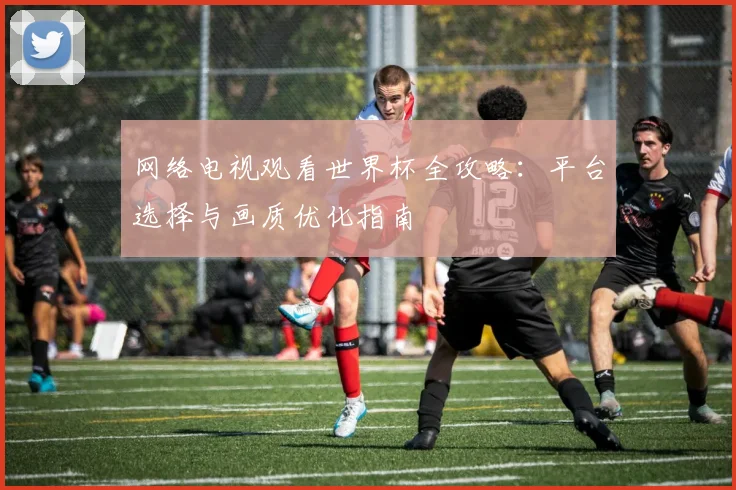 网络电视观看世界杯全攻略:平台选择与画质优化指南