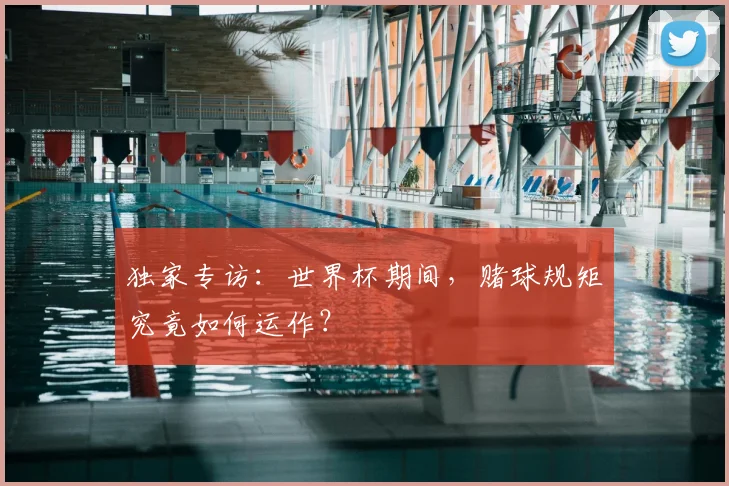 独家专访：世界杯期间，赌球规矩究竟如何运作？