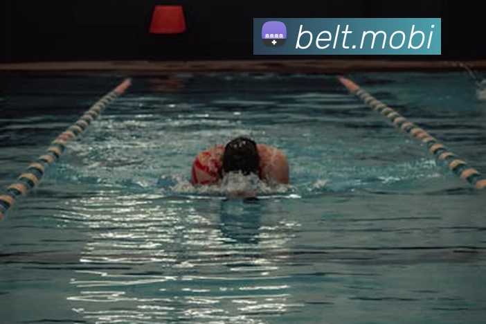 App Interface Preview