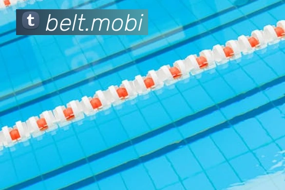 开云手机入口登录官网APP 封面图